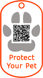 Pet Tag